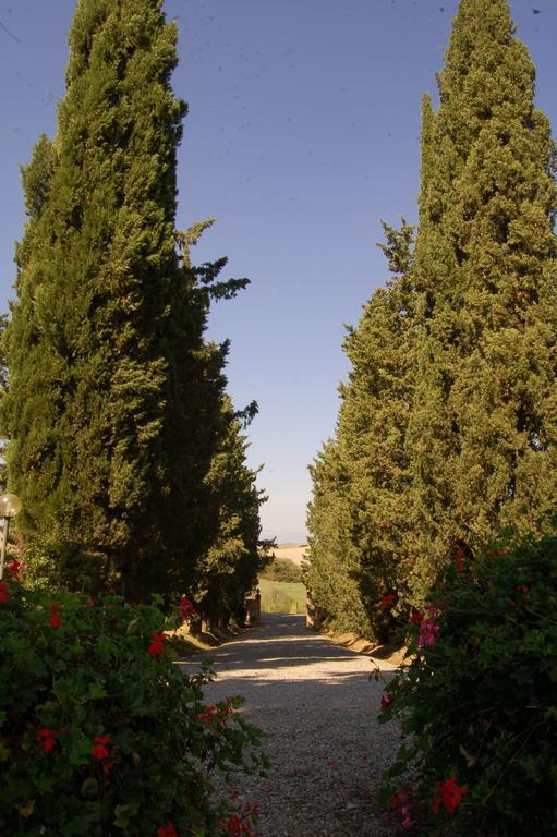 Agriturismo San Francesco Amalia And Anna Orciatico Εξωτερικό φωτογραφία