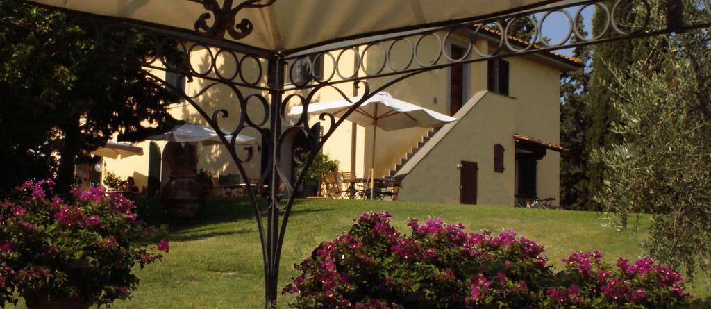 Agriturismo San Francesco Amalia And Anna Orciatico Εξωτερικό φωτογραφία
